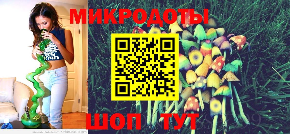 Наро-Фоминск  Псилоцибиновые грибы Psilocybe  Вход с VPN 